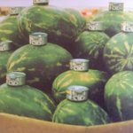 de-que-veneno-precisamos_html_4edb8ce9169e19c3